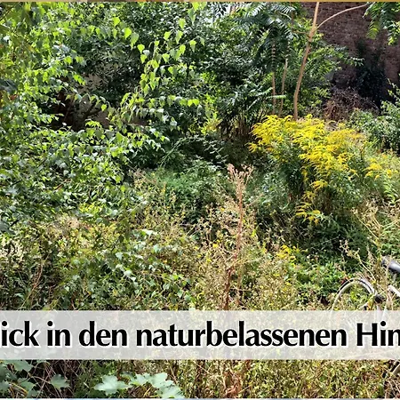 Ihr Rueckzugsort In - Grosszuegiges Altbau-apartment Mit 2sz, Nobilia Kueche, Smart-tv, 250mbts Wifi, Kostenloses Parken - Nur Wenige Minuten Vom Zentrum Und Nordstrand Entfernt - Kostenloser Waschraum Im Gebaeude Appartement *